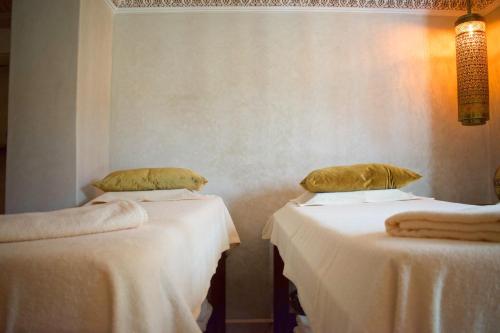 Perlekech Riad & Spa - main image