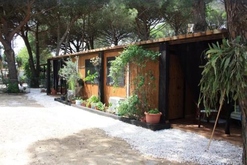 Bungalow para quienes buscan tranquilidad - Chiclana de la Frontera
