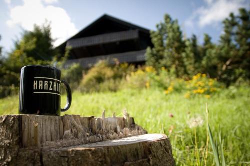 Harz BnB Werkmeister