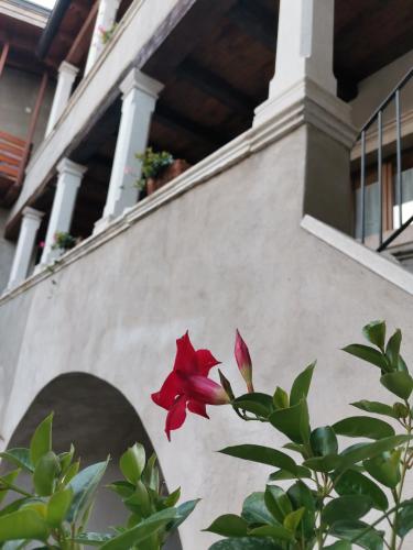 Monolocale in casa del 700 - Trento