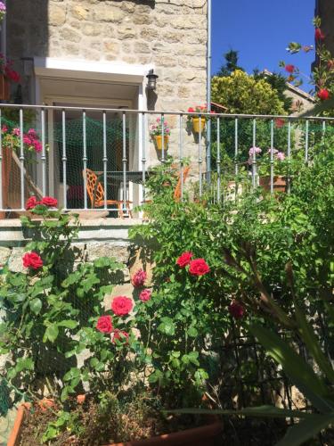 Maison de Vacances - Casa Mezanaccia avec Terrasse fleurie meublé tourisme 3 étoiles