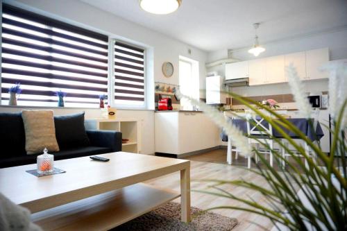 Relaxing Coresi Place Relaxing Coresi Place