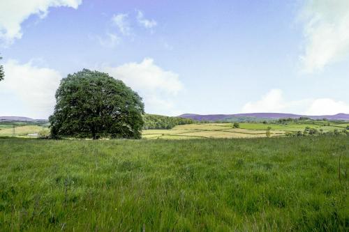 Pickle Barn - image 5