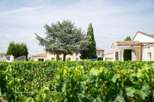 Château Haut-Brisson