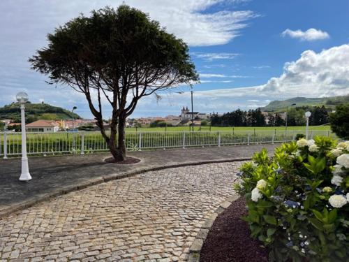 Quinta do Avô Dimas - Rural Home - São Brás