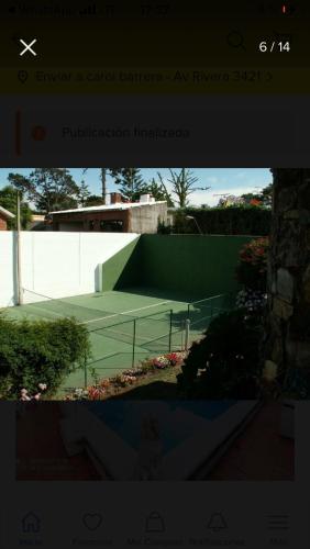Palmeras del Verdun - image 4