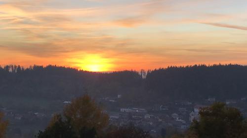 FERIENWOHNUNG FORSTPANORAMA in Sankt Englmar, Deutschland