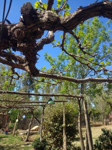 El Parralito in 라스 에라스