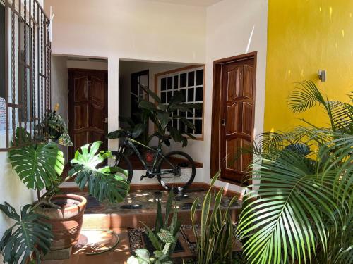 Casa Lomas del Marinero Internet Starlink SIN GARAJE in Puerto Escondido