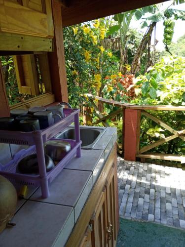 Berkey's Jungle Paradise in Saint George