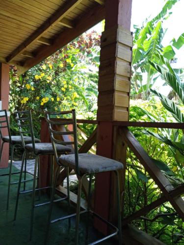 Berkey's Jungle Paradise in Saint George