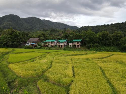 전망, นากลางดอย Naklangdoi in 난