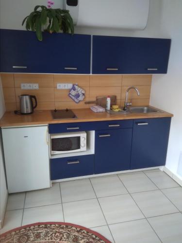 Kitchen, Dvur v Borovne in Borovna