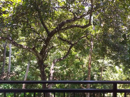 Sunworld Villa, Unawatuna (foto 2)