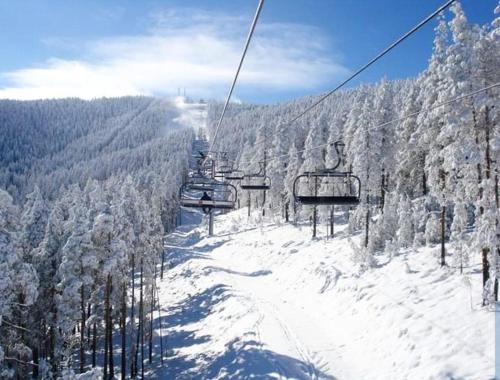 Zlatibor Hills Royal - image 11