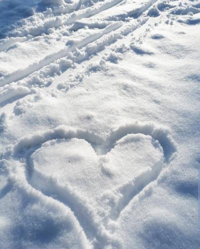 Zlatibor Hills Royal - image 2