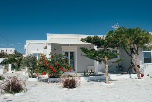 Vigere Luxury Villa gîte à louer Exo Gialos