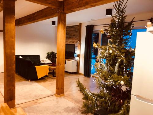 共用Lounge/電視區, Domki przy Ogrodach in 戈薩科維斯茲德魯伊