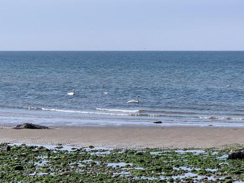 Turnberry Holiday Park fantastic Seaview