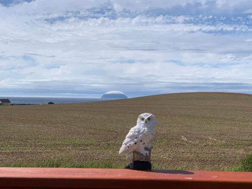 Turnberry Holiday Park fantastic Seaview