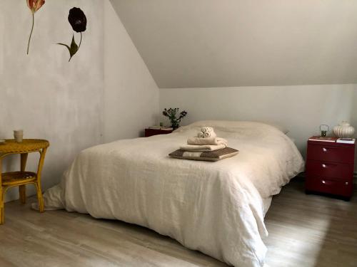 Giorgio, Amberes (foto 11)