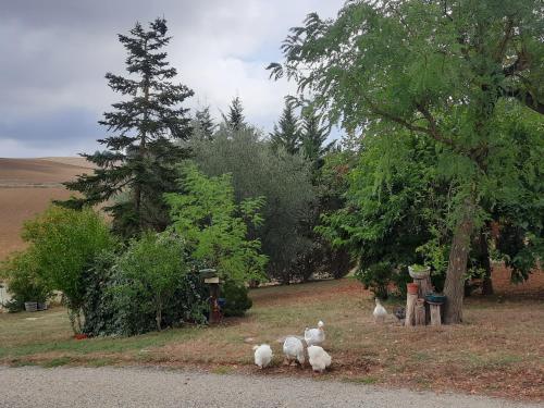 Kert, Chez Régis (Chez Regis) in Dunes