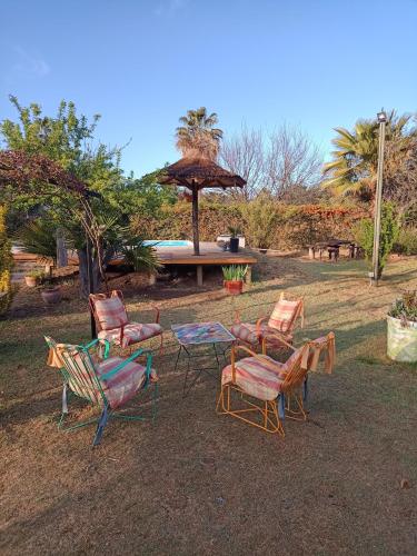 Garden, Quinta Los Olivos in Coquimbito