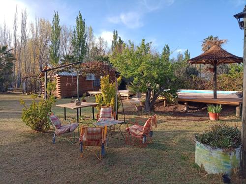 View, Quinta Los Olivos in Coquimbito