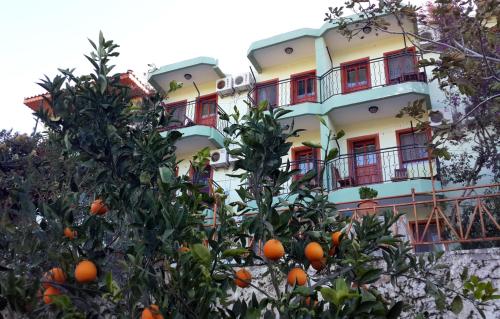 Patara Delfin Hotel - image 3