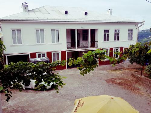Home with garden and natures