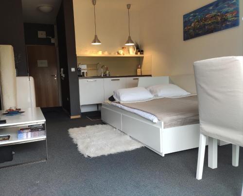 . Studio apartment "Iris"
