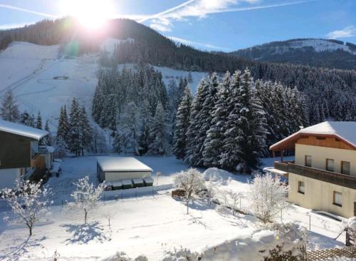 Appartements MAGLOV Appartements MAGLOV