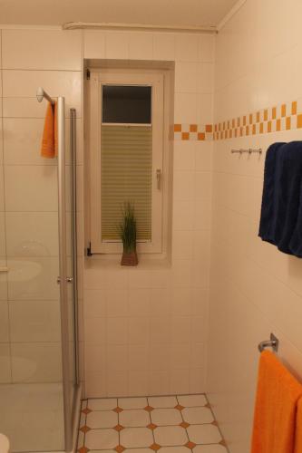 Ferienapartments am Brocken - image 3