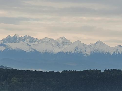 Apartament u Jawora Apartament u Jawora