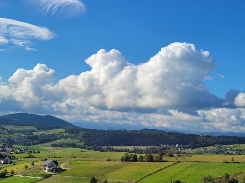 Apartament u Jawora Apartament u Jawora