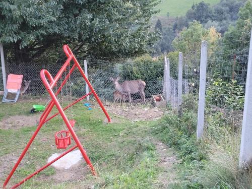 Apartament u Jawora Apartament u Jawora