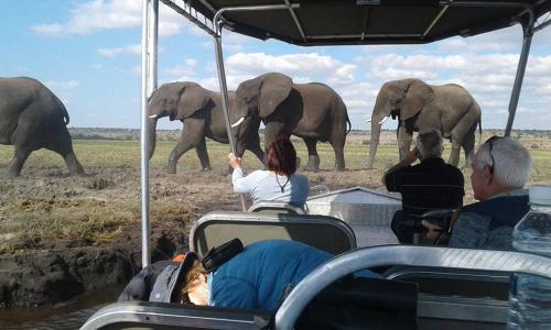 BJ&T Vacation Homes Kasane Botswana