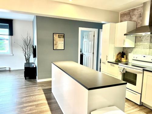 Sutton - Condo Au Coeur du Village, Sutton (fotografie 5)
