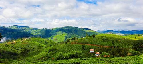 Vaade, Ghar - Homestay, Where Family Lives Together in Ooty