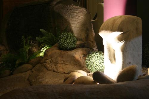 Garden Lodge Sydney Hotel - image 4