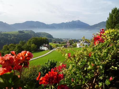  Biohof Schwanser in Steinbach am Attersee