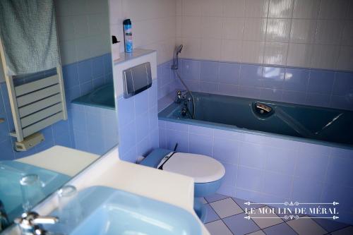 LE MOULIN DE MERAL - image 14