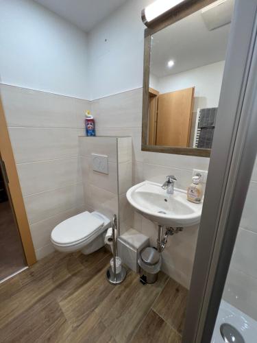 Baño, Appartement Heidi II (ohne Balkon/Terrasse) in Schladming