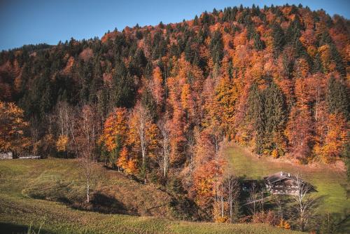 Your Home - City Apartment in Kufstein