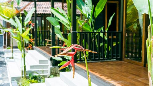 ONAYA Bali Resort - Adults Only
