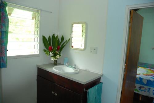 Fürdőszoba, Ginas Garden Lodges, Aitutaki - 4 self contained lodges in a beautiful garden in Arutanga