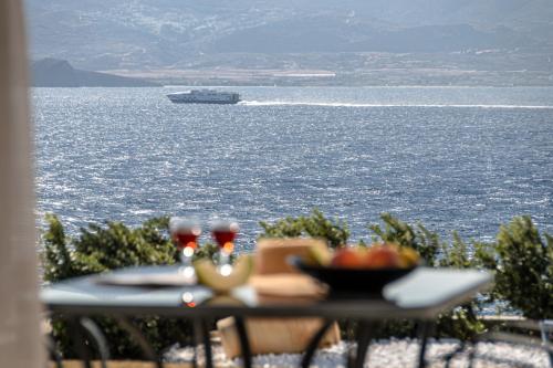 Dionysus House and Ariadne Apartment