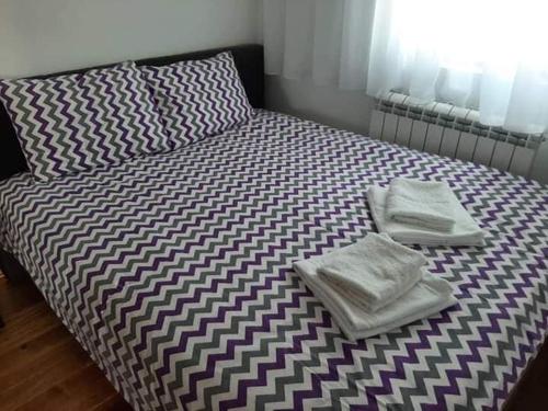 One-Bedroom Apartment image 10