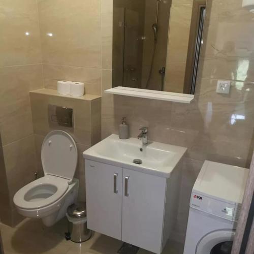 One-Bedroom Apartment image 9