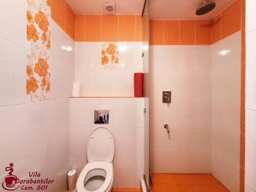 Vila Dorobantilor - image 7